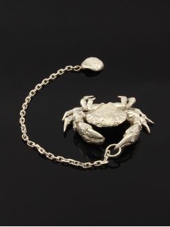 Silver water ionizer "Crab"